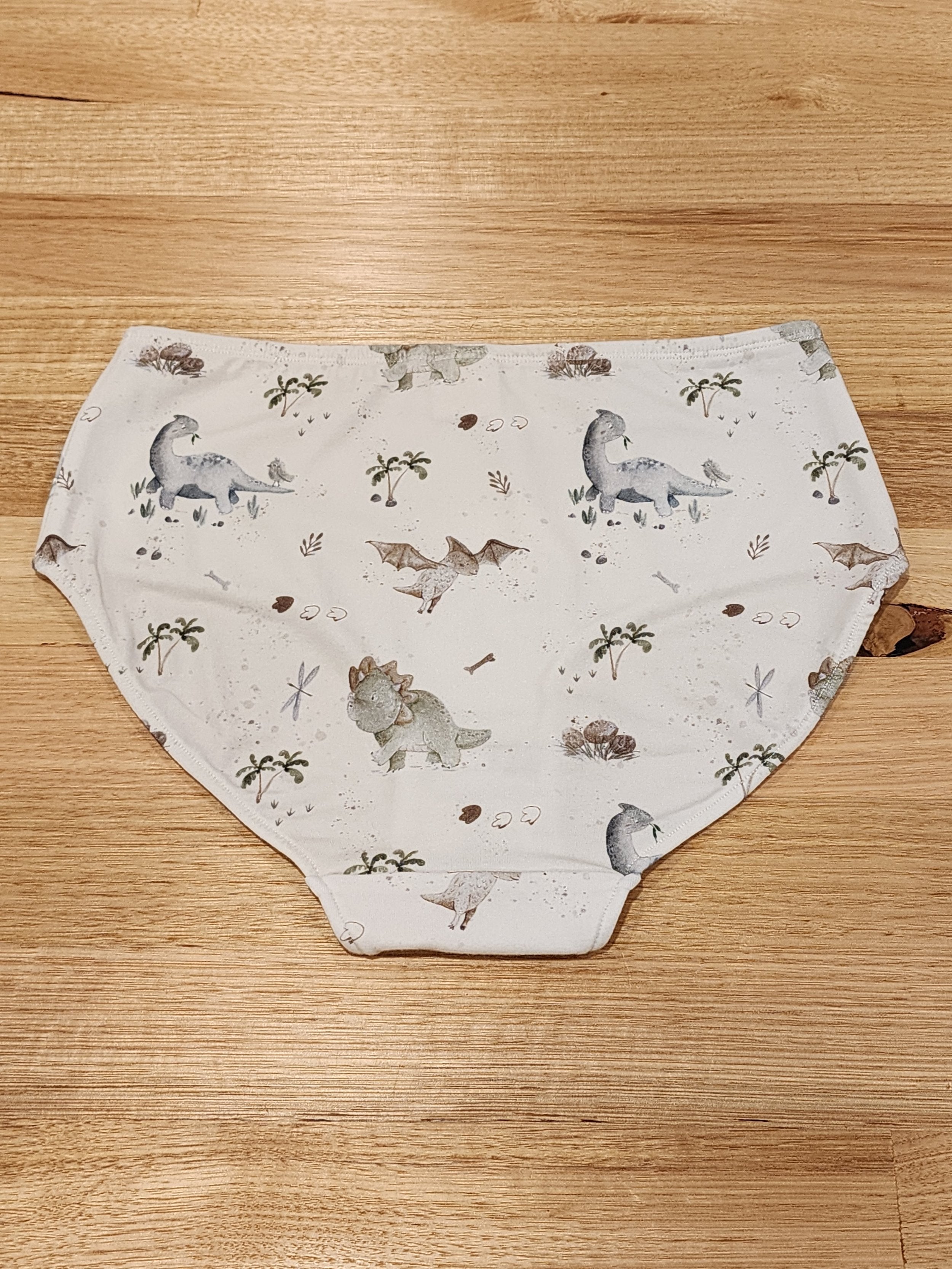 Big Girls Briefs Baby Dinosaurs-SQ5444411