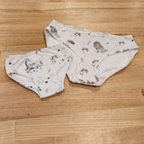 Baby Dinosaurs Little Girls Briefs-SQ2708438
