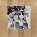 The Floriferous Ladies Handkerchief