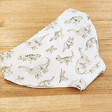 by Audrey and Grace Dinosaur Womens Hipster Briefs-SQ1219432