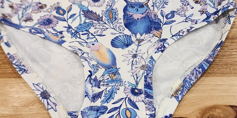 by Audrey & Grace Owl and Quoll Womens Hipster Briefs-SQ7653387