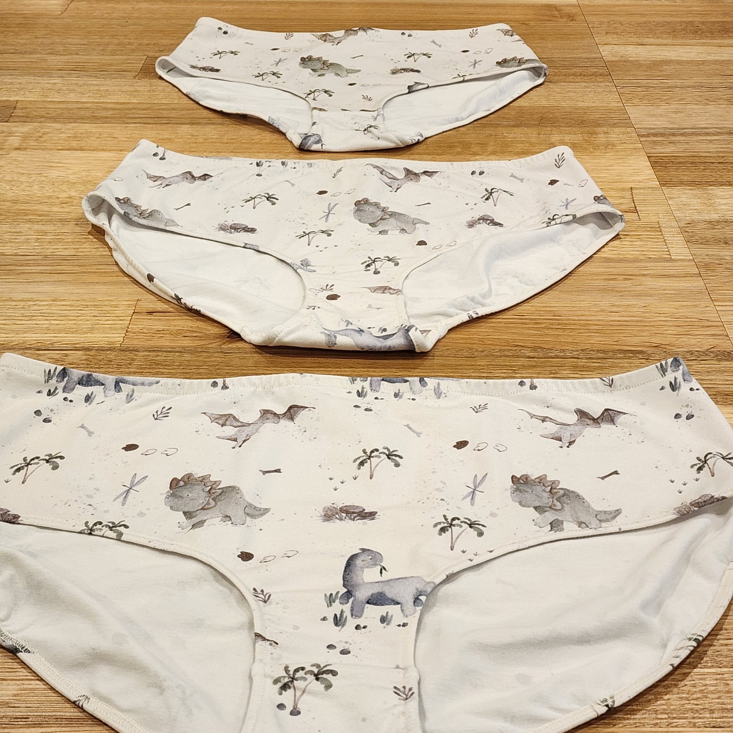 Big Girls Briefs Baby Dinosaurs-SQ5444411
